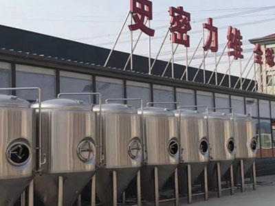 饶平精酿啤酒设备厂—如何判断精酿啤酒设备的密封件需要更换？